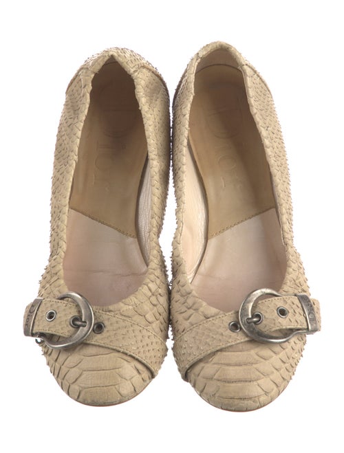 Christian Dior Snakeskin Ballet Flats