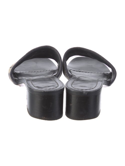 Christian Dior Canvas Printed Slides