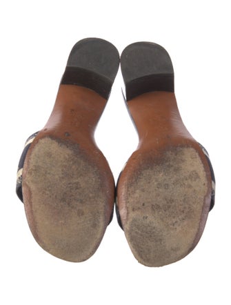 Christian Dior Canvas Printed Slides