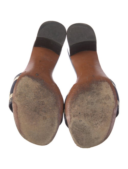 Christian Dior Canvas Printed Slides