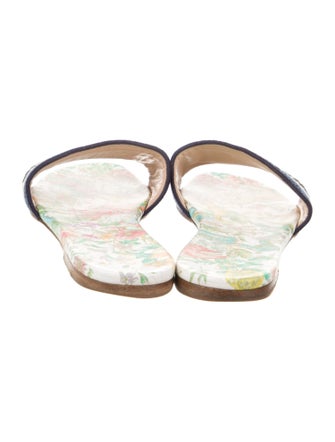 Christian Dior Canvas Printed Slides