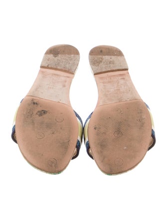 Christian Dior Canvas Printed Slides