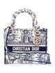 Christian Dior Canvas D-Lite Medium 2024