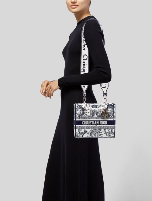 Christian Dior Canvas D-Lite Medium 2024