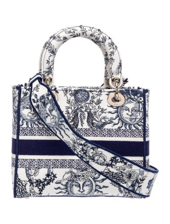 Christian Dior Canvas D-Lite Medium 2024