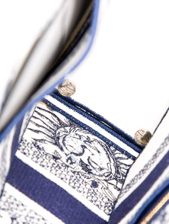 Christian Dior Canvas D-Lite Medium 2024