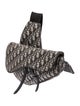 Christian Dior Oblique Jacquard Saddle