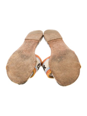 Christian Dior Canvas Printed Slides