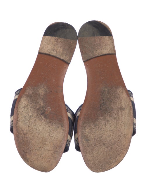 Christian Dior Canvas Printed Slides