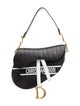 Christian Dior Oblique Jacquard Saddle