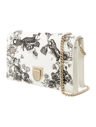 Christian Dior Toile de Jouy Diorama Medium