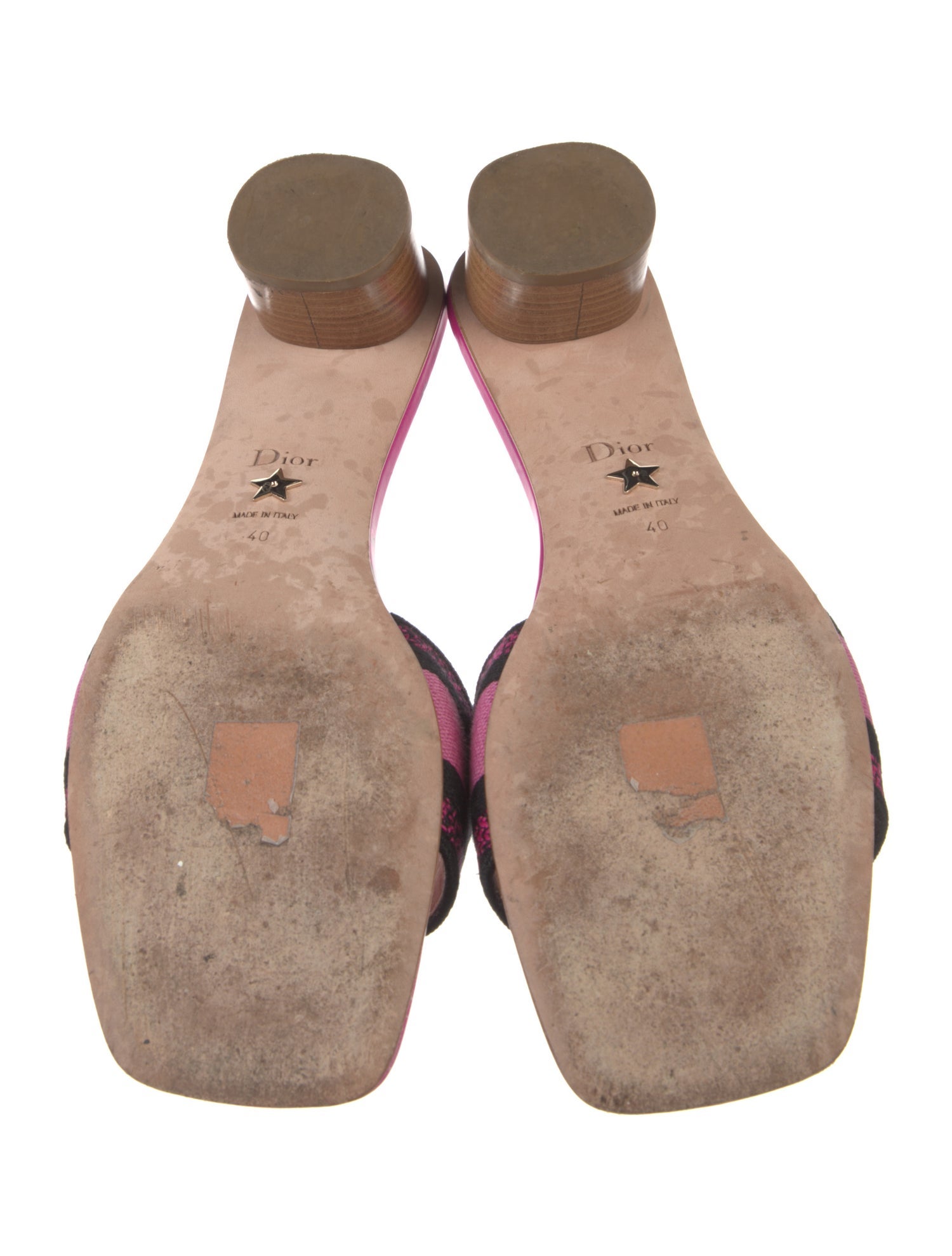 Christian Dior Canvas Graphic Print Slides