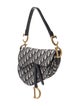 Christian Dior Oblique Jacquard Oblique Saddle