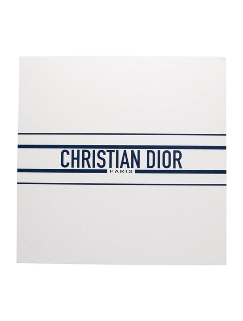 Christian Dior 2022 Technogym Wellness Ball