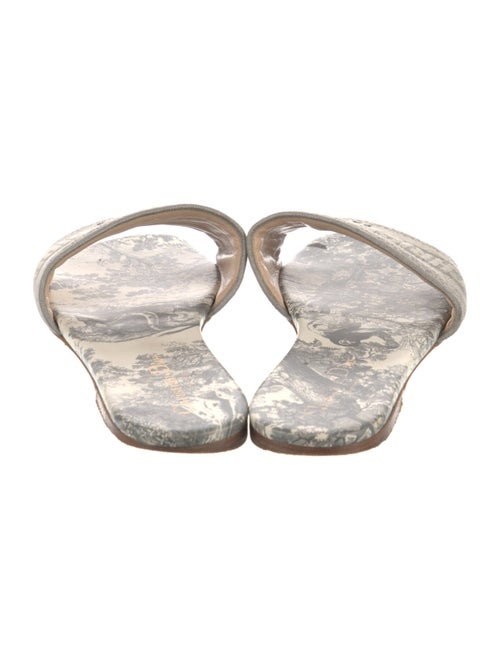 Christian Dior Printed Embroidered Accent Slides