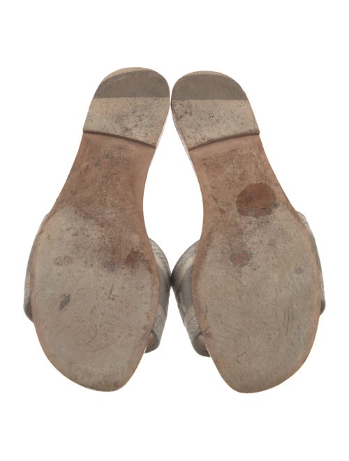 Christian Dior Printed Embroidered Accent Slides