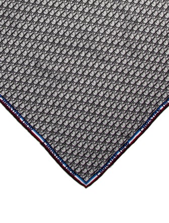 Christian Dior Silk Printed Scarf