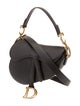 Christian Dior Calfskin Saddle Mini 2023