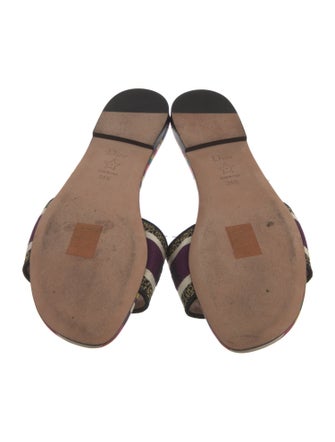 Christian Dior Canvas Printed Slides