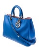 Christian Dior Leather Diorissimo