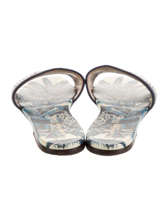 Christian Dior Printed Embroidered Accent Slides