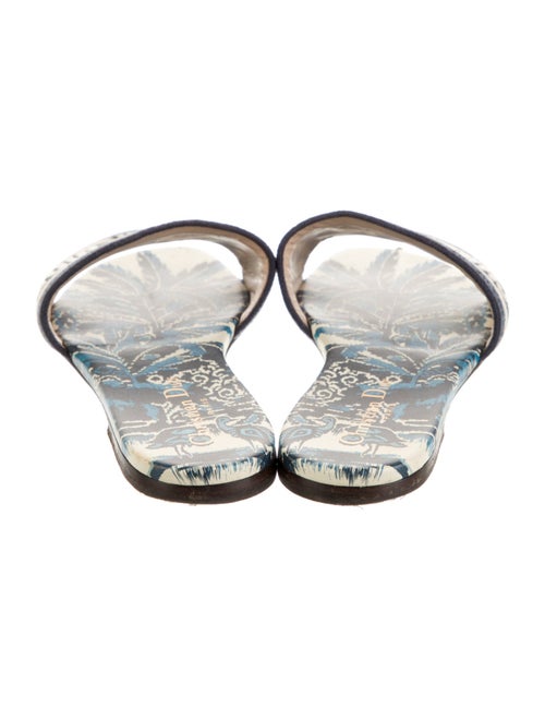 Christian Dior Printed Embroidered Accent Slides