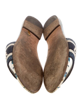 Christian Dior Printed Embroidered Accent Slides