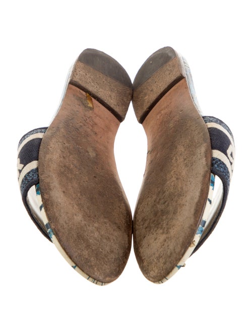 Christian Dior Printed Embroidered Accent Slides