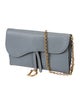 Christian Dior Leather Saddle Wallet On Chain 2022