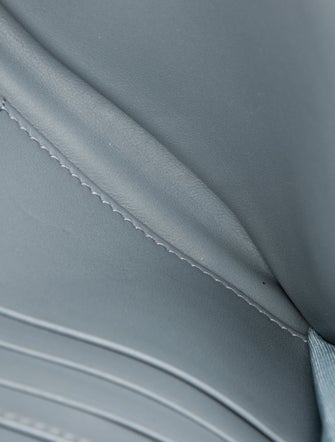 Christian Dior Leather Saddle Wallet On Chain 2022