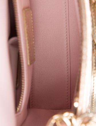 Christian Dior Mini Python Lady Dior Bag