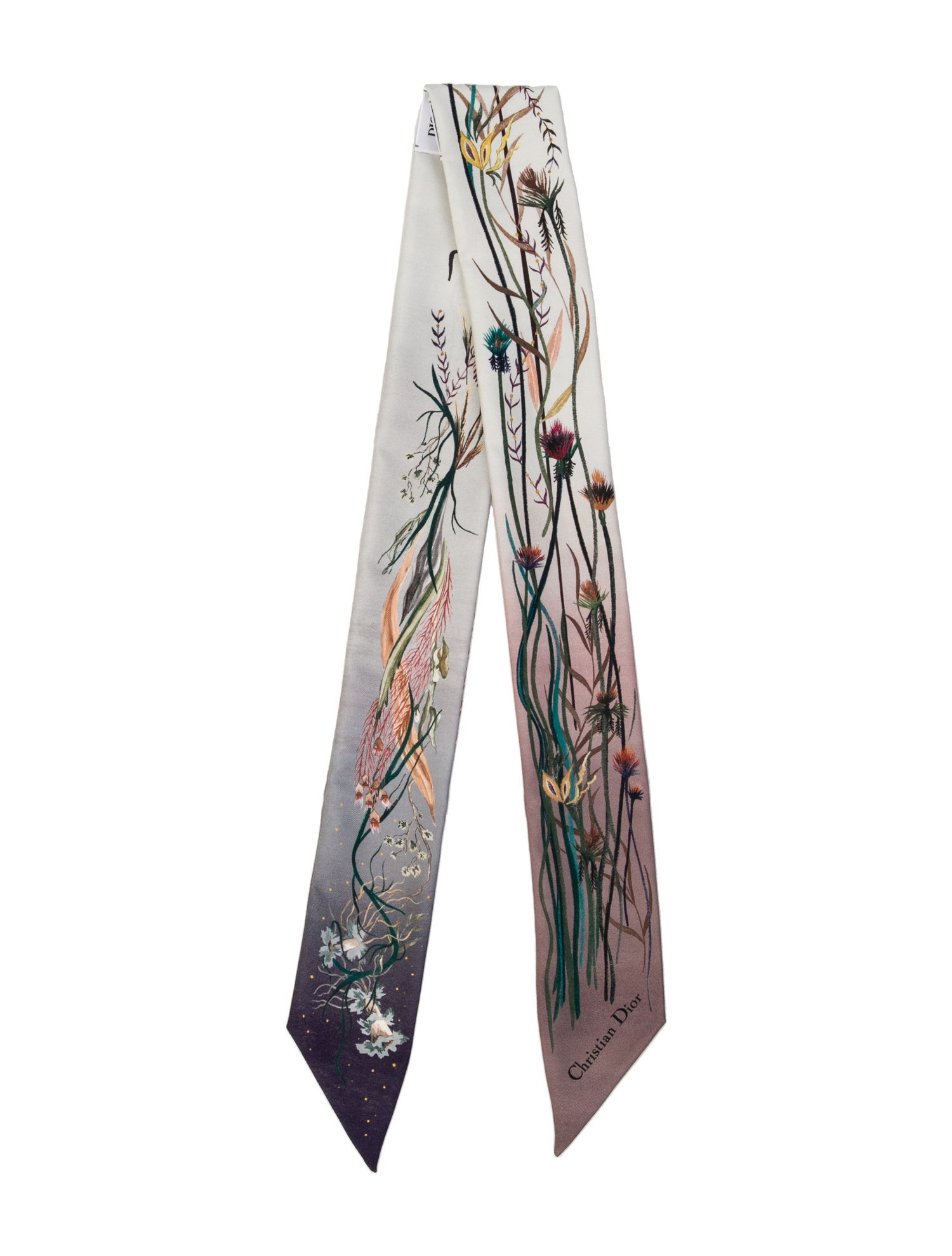 Christian Dior Silk Printed Scarf