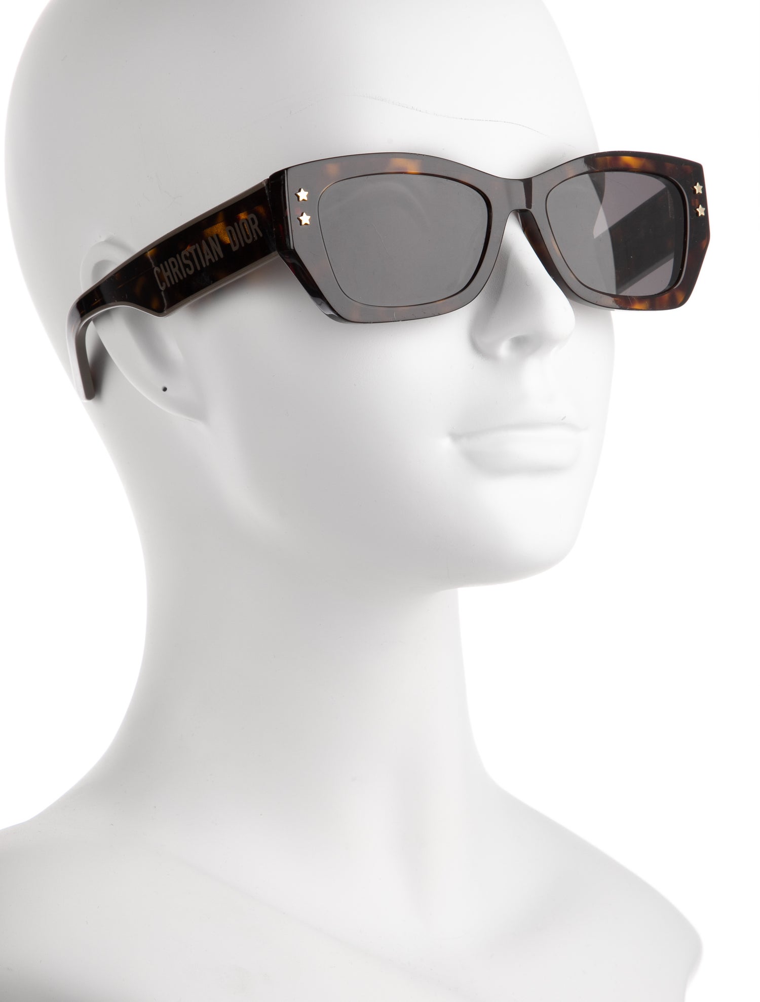 Christian Dior Wildior S3U Square Sunglasses