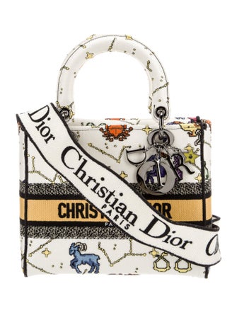 Christian Dior Canvas D-Lite Medium 2022