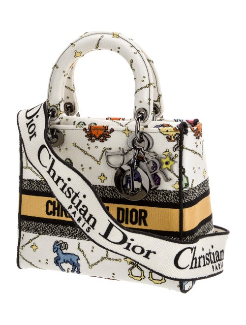 Christian Dior Canvas D-Lite Medium 2022