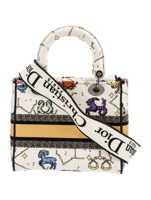 Christian Dior Canvas D-Lite Medium 2022