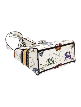 Christian Dior Canvas D-Lite Medium 2022