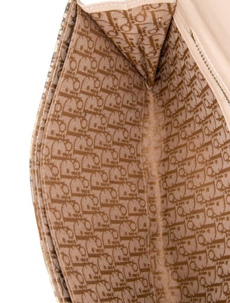 Christian Dior Python Clutch