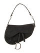 Christian Dior Nylon Saddle
