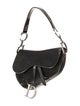 Christian Dior Nylon Saddle