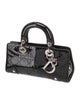 Christian Dior Cannage Lady Dior Small