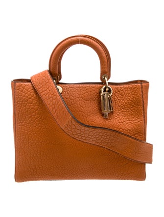 Christian Dior Leather Lady Dior Large