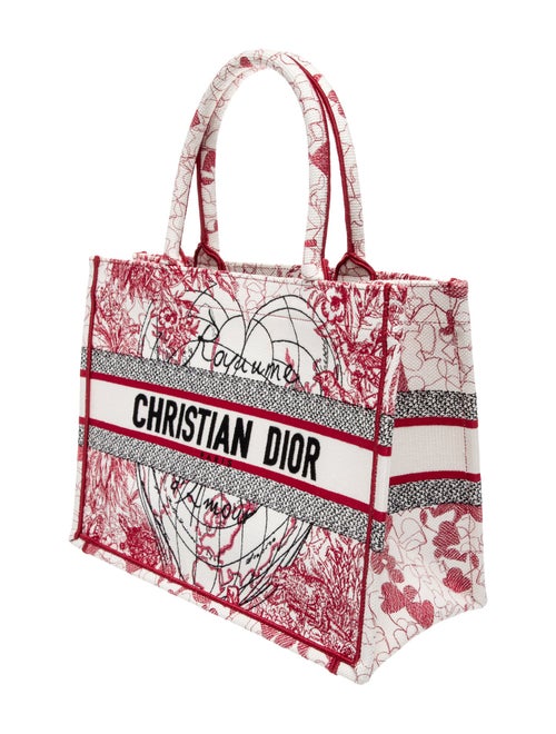 Christian Dior Canvas Book Medium