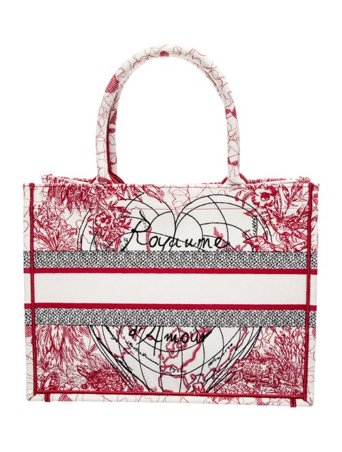 Christian Dior Canvas Book Medium