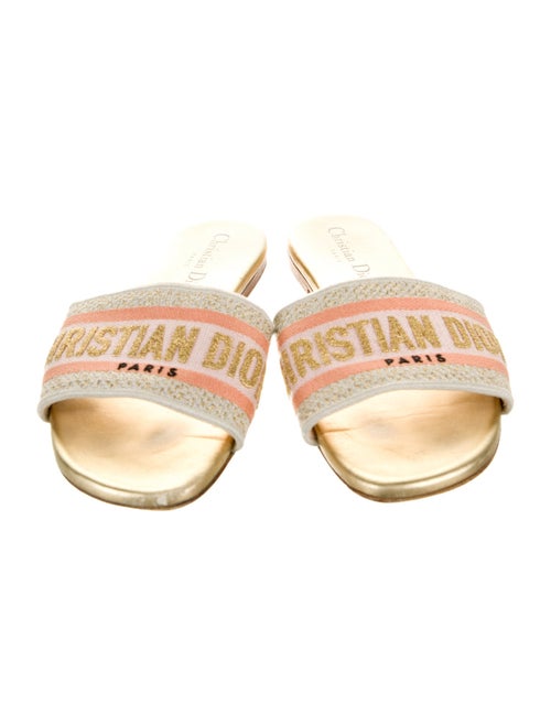 Christian Dior Leather Printed Slides