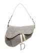 Christian Dior Signature Double Saddle