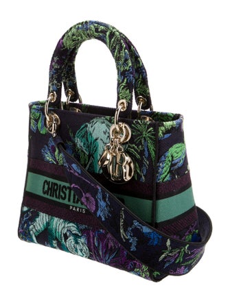 Christian Dior Canvas D-Lite Medium