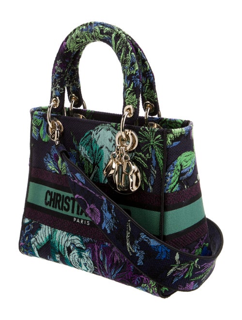 Christian Dior Canvas D-Lite Medium