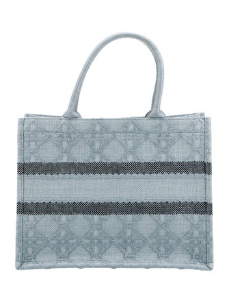 Christian Dior Cannage Book Medium 2024