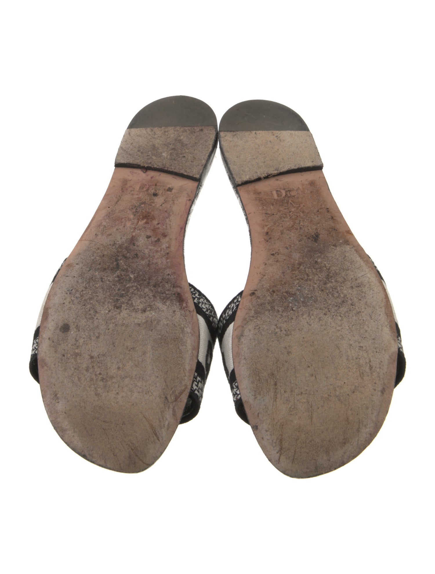 Christian Dior Printed Embroidered Accent Slides